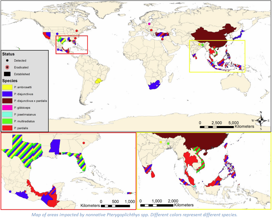 Map of areas impacted by nonnative Pterygoplichthys spp. Different colors represent different species.