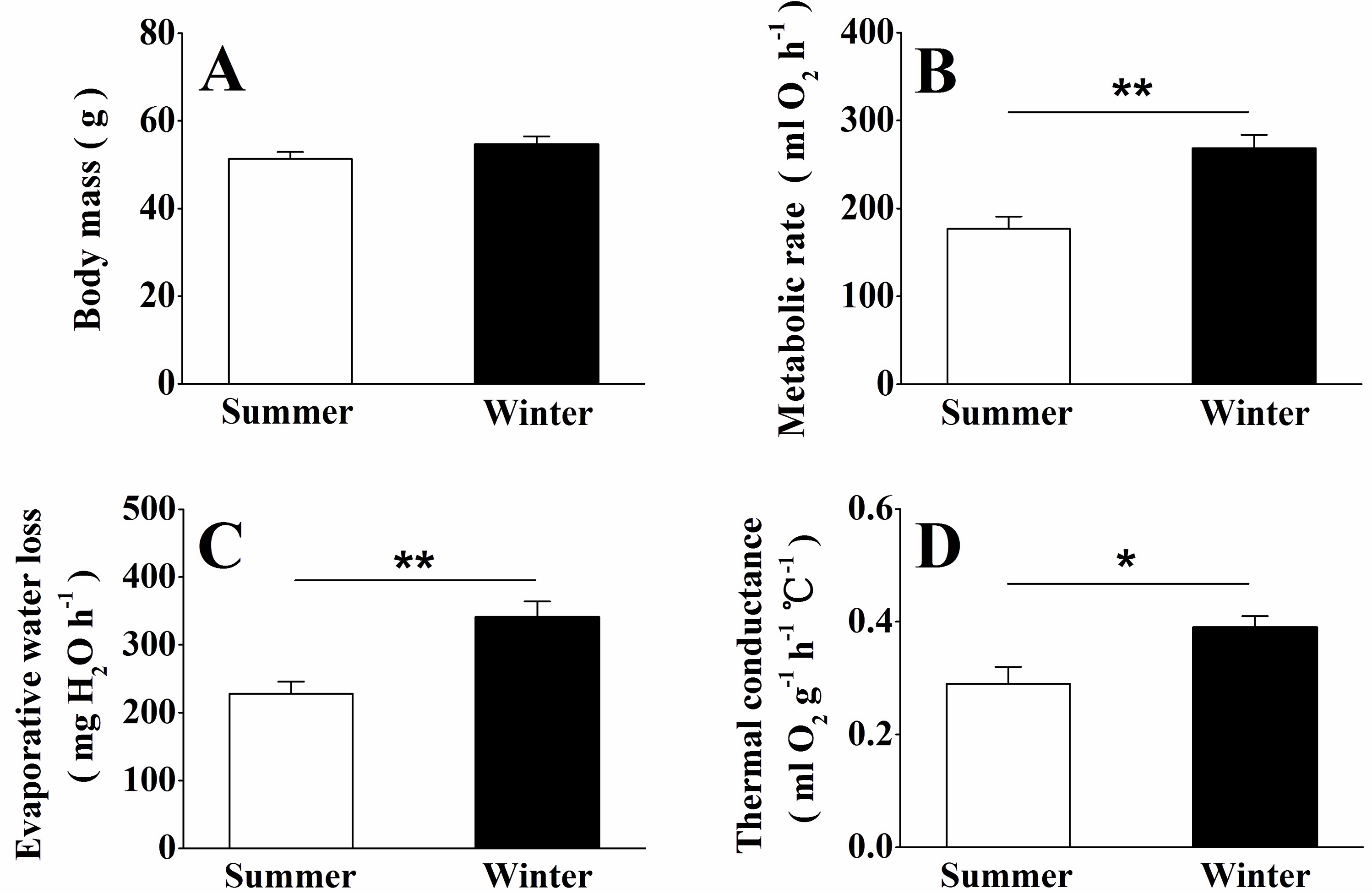 Seasonal Thermoregulation in Small Birds